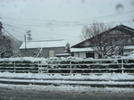 10.3.10雪景色2.JPG