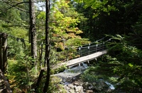 紅葉と吊り橋.JPG