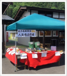 諏訪大社 本宮 社乃風 諏訪大社 本宮 社乃風.jpg