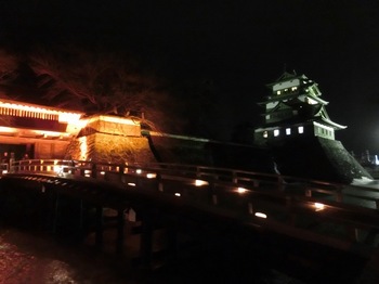 ｱｲｽｷｬﾝﾄﾞﾙ高島城と冠木門.JPG