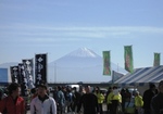 trIMG_0233.jpg
