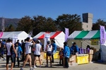 trs_DSC4829.JPG